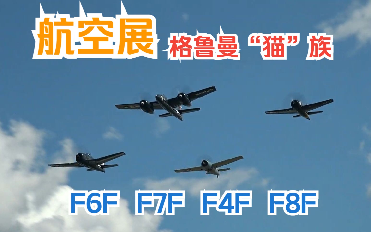 【航空展】2022 格鲁曼“猫猫”(F4F野猫,F6F地狱猫,F7F虎猫,F8F熊猫)汇聚一堂 2022 Grumman Cats哔哩哔哩bilibili