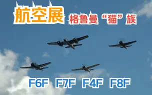 Download Video: 【航空展】2022 格鲁曼“猫猫”（F4F野猫，F6F地狱猫，F7F虎猫，F8F熊猫）汇聚一堂 2022 Grumman Cats