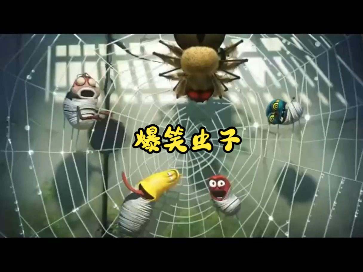 爆笑虫子,虫子们在蜘蛛网上弹奏!