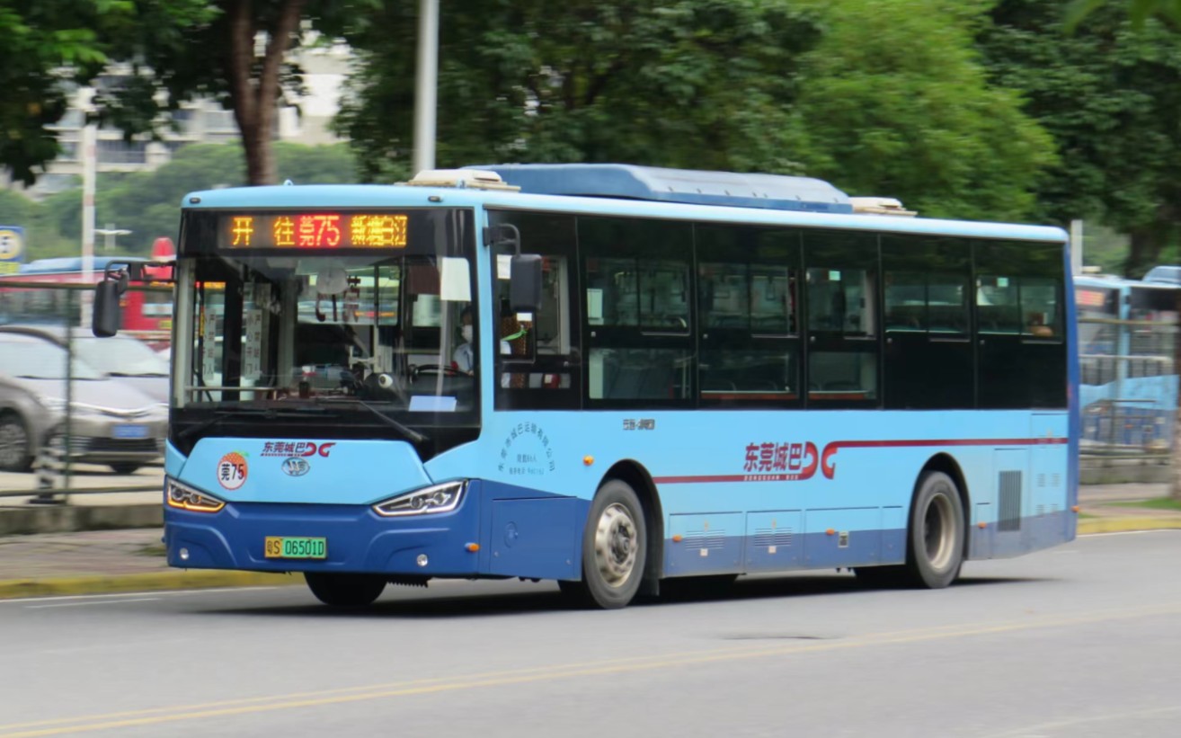 (穗莞地铁接驳线)东莞公交城巴莞75路全程手持pov8倍速(新塘白江地铁