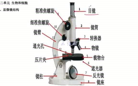 [图]生物知识点记忆(1)_西蒙学习法_速记方法