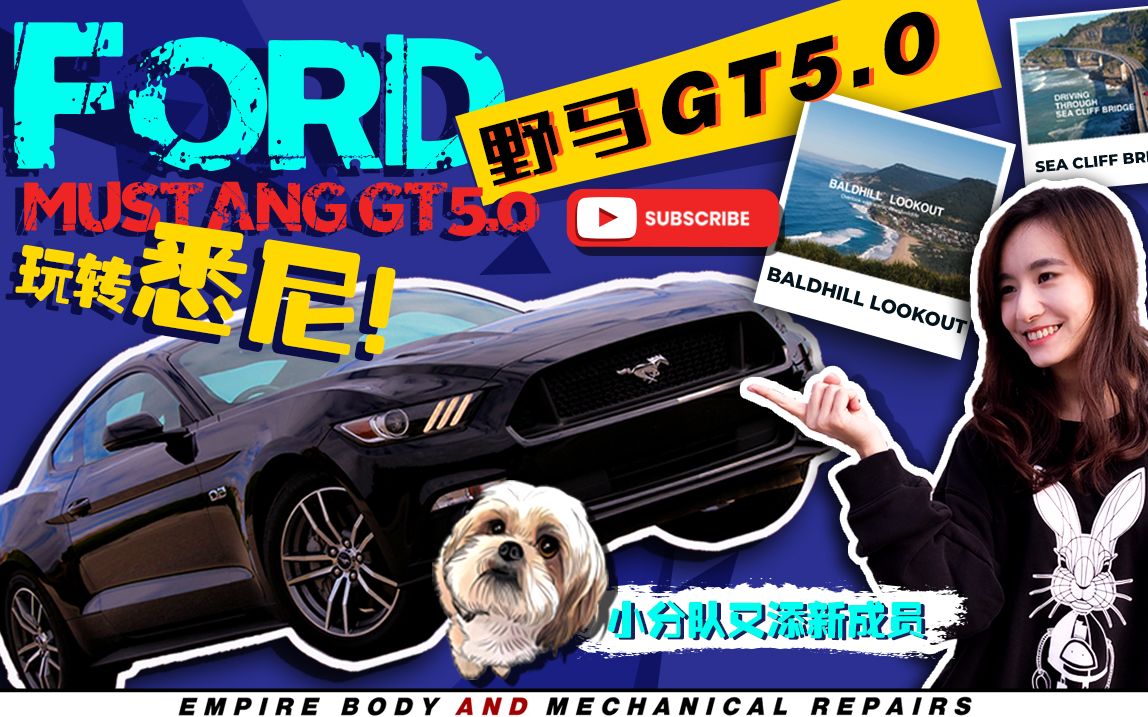 【撸车小分队02】Mustang GT5.0𐟤Ÿ玩转悉尼𐟤ŸV8你不买它买谁呢!?哔哩哔哩bilibili