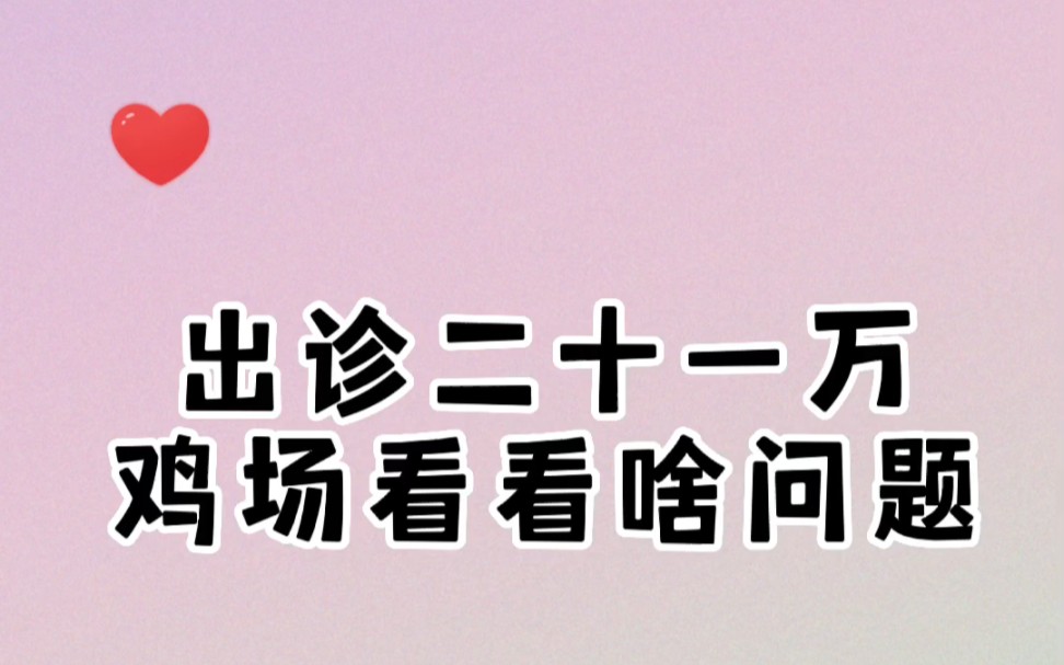 出诊鸡场,看看啥问题 #三农 #家禽养殖 #家禽技术正能量分享哔哩哔哩bilibili