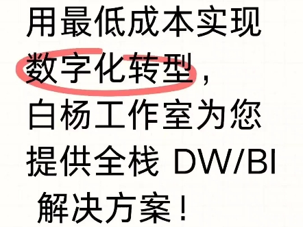 用最低成本实现数字化转型,白杨工作室为您提供全栈 DW/BI 解决方案!哔哩哔哩bilibili