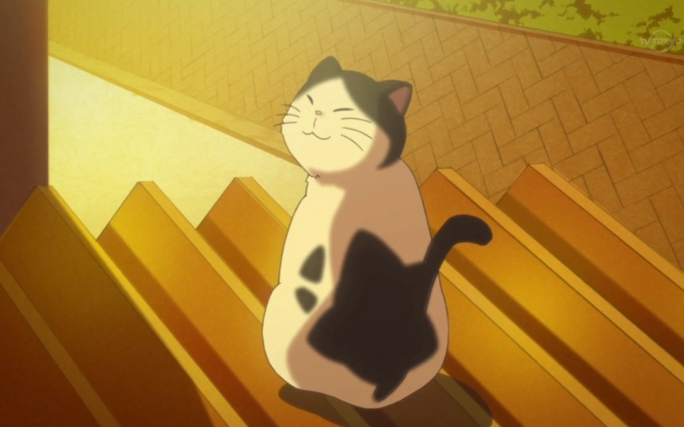 少年同盟/治愈向〕这难道不是一部猫番吗!_哔哩哔哩_bilibili