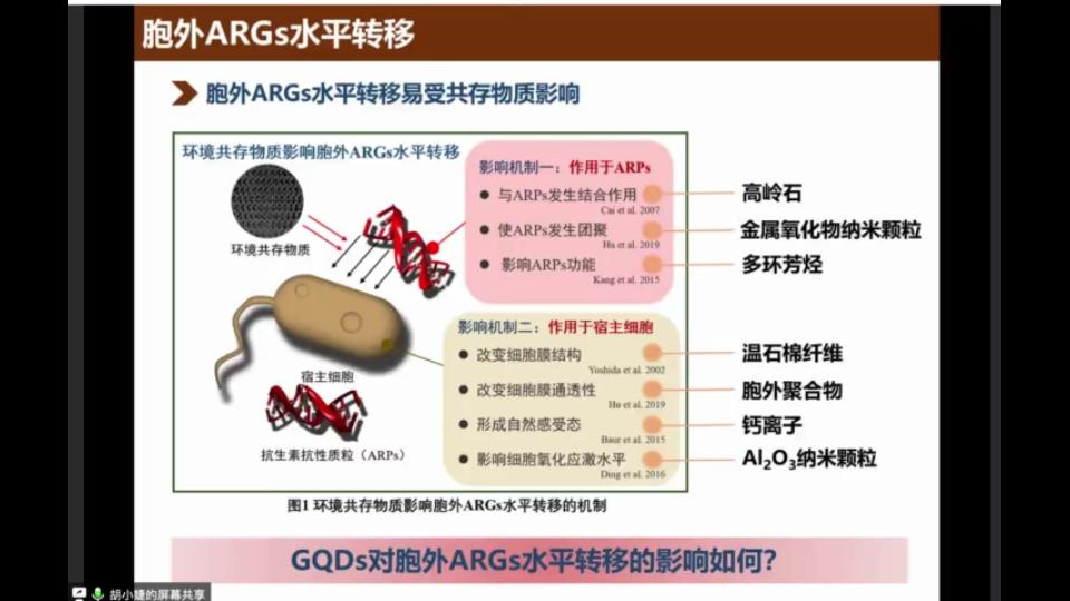 石墨烯量子点对抗生素抗性基因传播的影响及机制哔哩哔哩bilibili