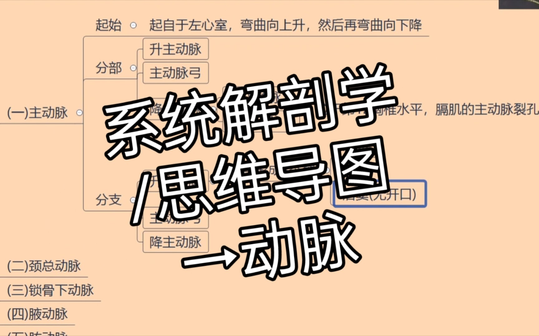 [图]【系统解剖学笔记】动脉→系统解剖学/霍琨老师/思维导图