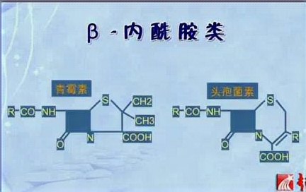 上海交通大学 抗菌药物临床应用与耐药菌的治疗对策 全3讲 主讲王树云 视频教程哔哩哔哩bilibili