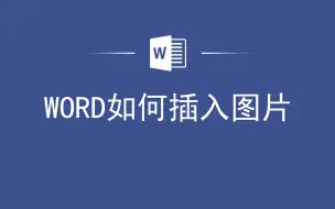 下载视频: WORD如何插入图片