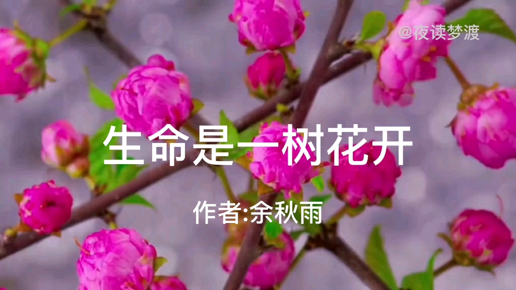 [图]余秋雨《生命是一树花开》。心中若有桃花源，何处不是水云间