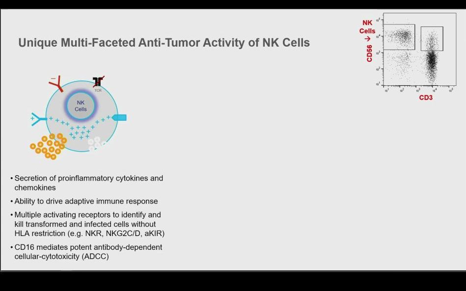 [图]Clinical Development of NK Cell Cancer Therapy