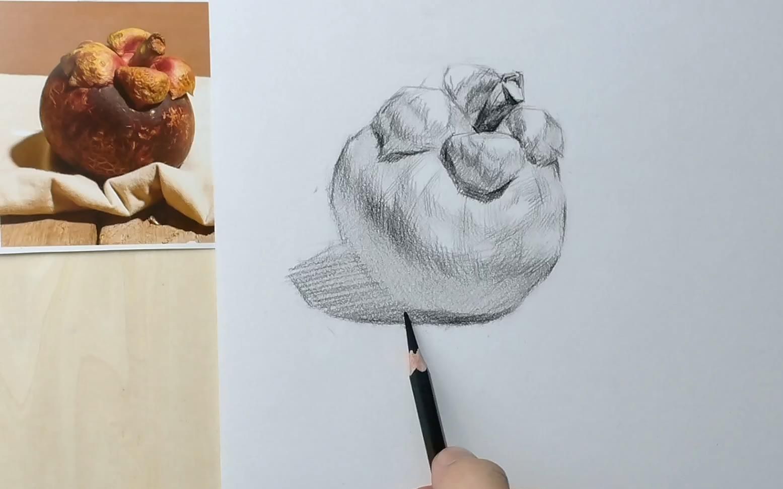 素描静物山竹结构素描原速讲解结构素描光影透视