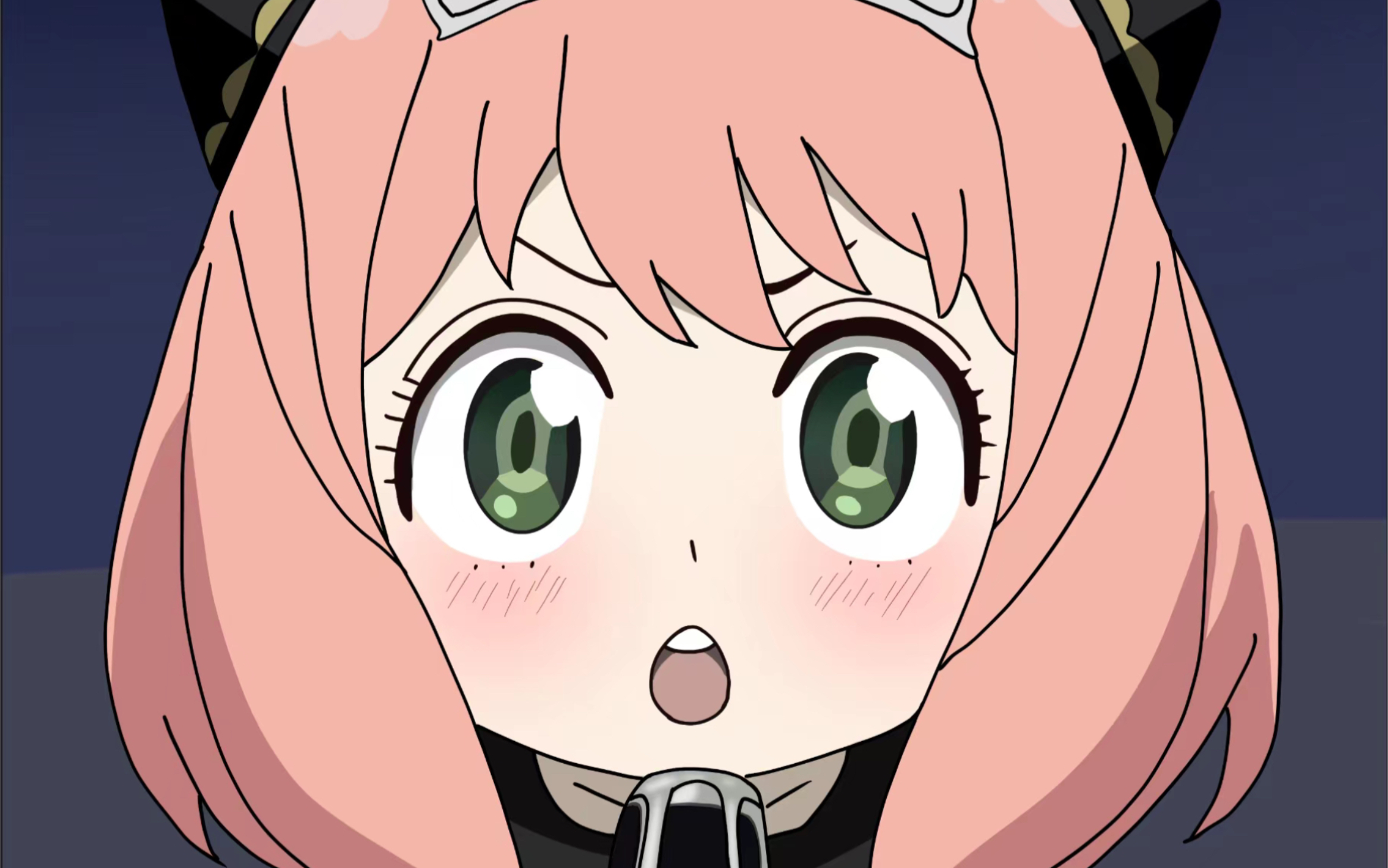 活动  阿妮娅间谍过家家日常表情包2