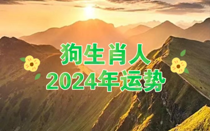 生肖狗人2024年流年不利化解方法哔哩哔哩bilibili