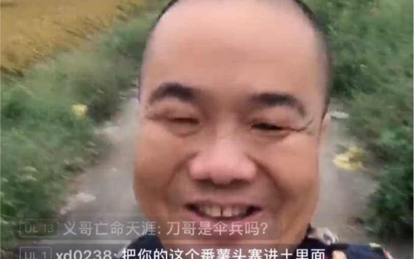 刀哥经典复刻虎弟独立宣言