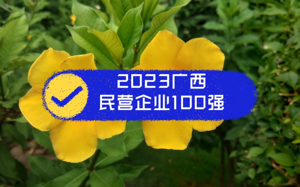 2023广西民营企业100强,防城港、河池、桂林占据前三,南宁22家入围总数最多哔哩哔哩bilibili