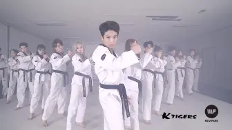 Download Video: 【K-Tigers】韩国最火跆拳道社cover防弹少年团舞蹈