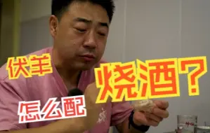 Download Video: 上海硬核早餐！羊肉配烧酒 打卡周浦长脚羊肉