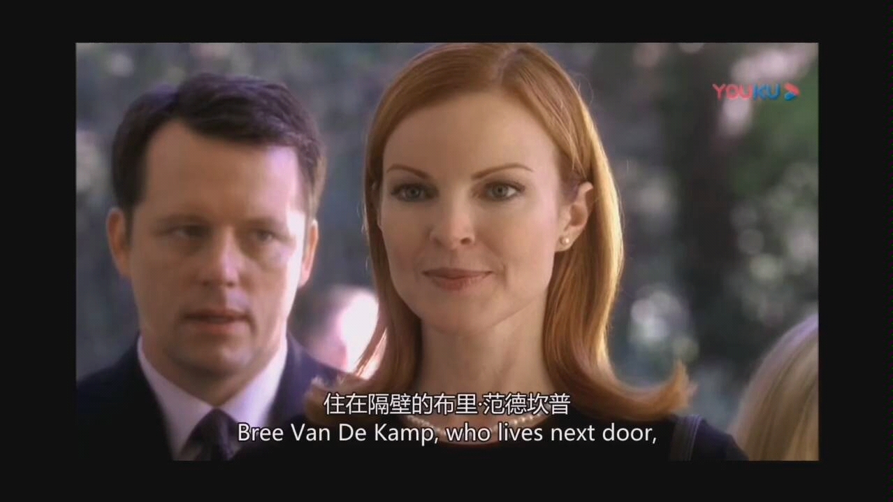 Bree Van de Kamp图片