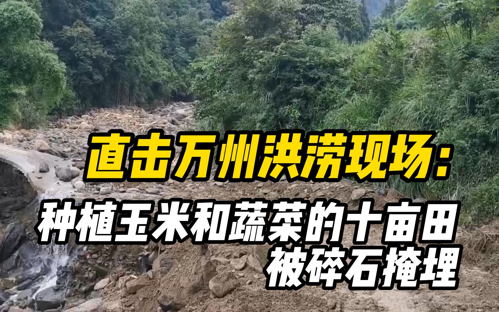 直击万州洪涝现场:种植玉米和蔬菜的十亩田被碎石掩埋哔哩哔哩bilibili