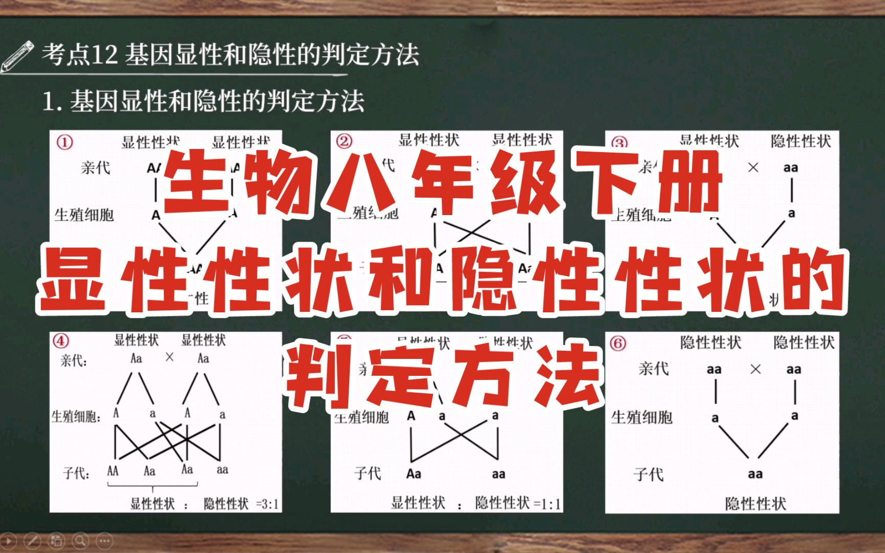 【初中生物全考点讲解|八下】考点12 显性性状和隐性性状的判定方法总结哔哩哔哩bilibili