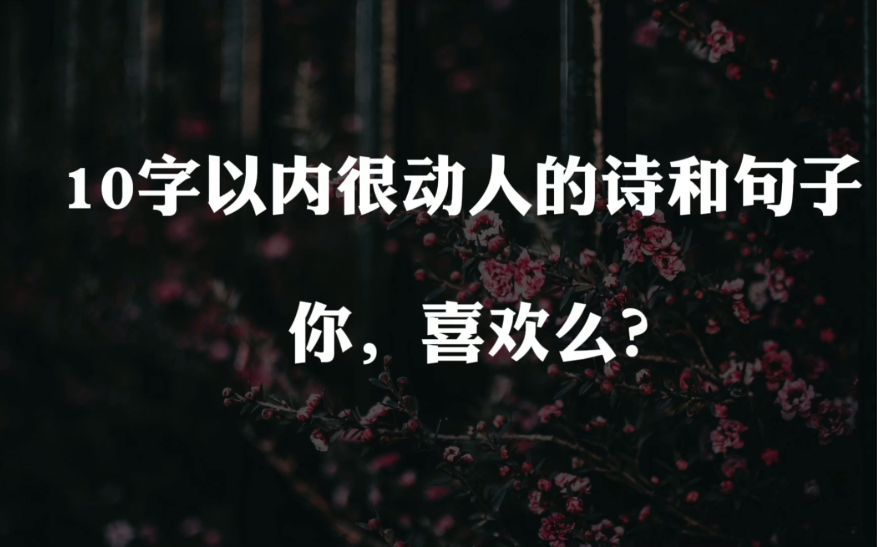 【摘抄/短句】这些10 字以内的美好诗词,你,喜欢吗?哔哩哔哩bilibili