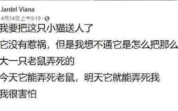 上一秒能干翻比它大的老鼠 下一秒他就能干翻我(搞笑图片第四期)哔哩哔哩bilibili