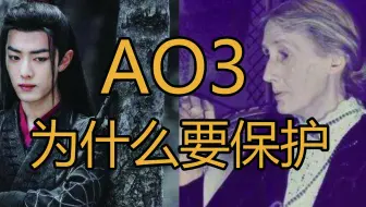 AO3为什么成千上万中国女孩要去保护一个国外网站【227肖战】