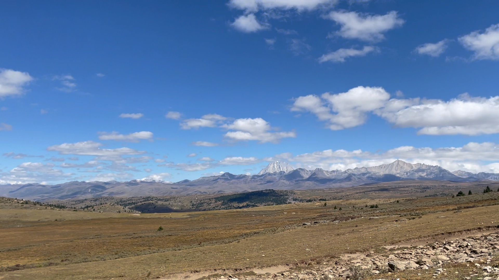 川西行—鱼子西