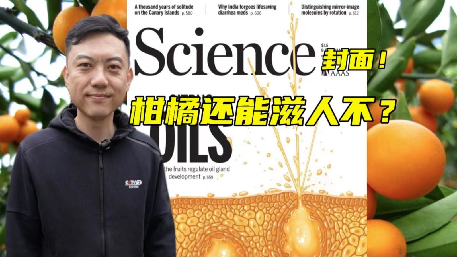 Science封面文章!如何理解中国科学家柑橘油胞重大发现!【主播说三农】哔哩哔哩bilibili