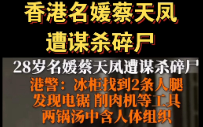 香港警方公布名媛蔡天凤碎尸案细节，尸体遭肢解烹煮丢弃，神秘人悬赏通缉前夫， 哔哩哔哩