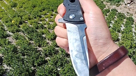 pov 农村小伙挑战检视鹰朗el01,国产典中典