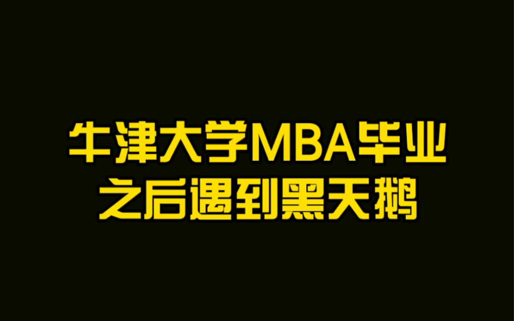 【美国留学及职场经验分享】2008年牛津大学MBA毕业遇到金融危机,曾一年找不到工作,哪有什么一帆风顺,不过是负重前行哔哩哔哩bilibili