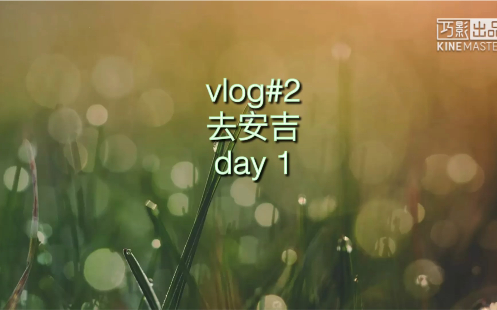 vlog#2上海周边游玩 安吉/大竹海/云上草原//南浔古镇哔哩哔哩bilibili