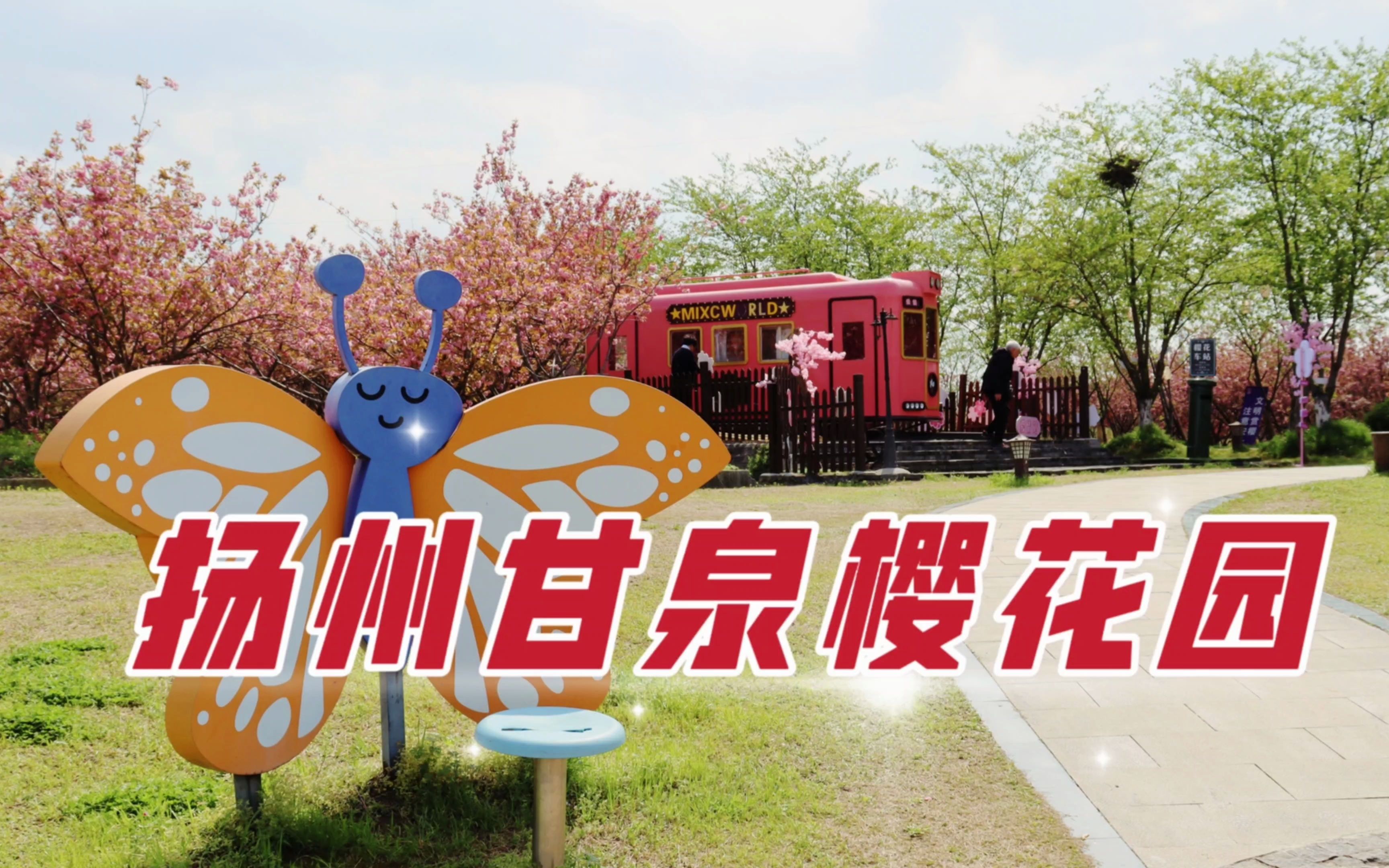 扬州甘泉樱花园,这里的晚樱花海似梦似幻,随手一拍都是网红大片