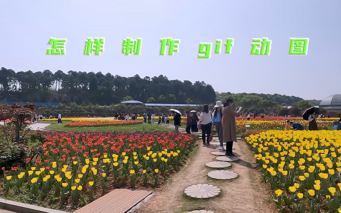 怎样用PR制作gif动图 很简单 小白也能一看就会哔哩哔哩bilibili