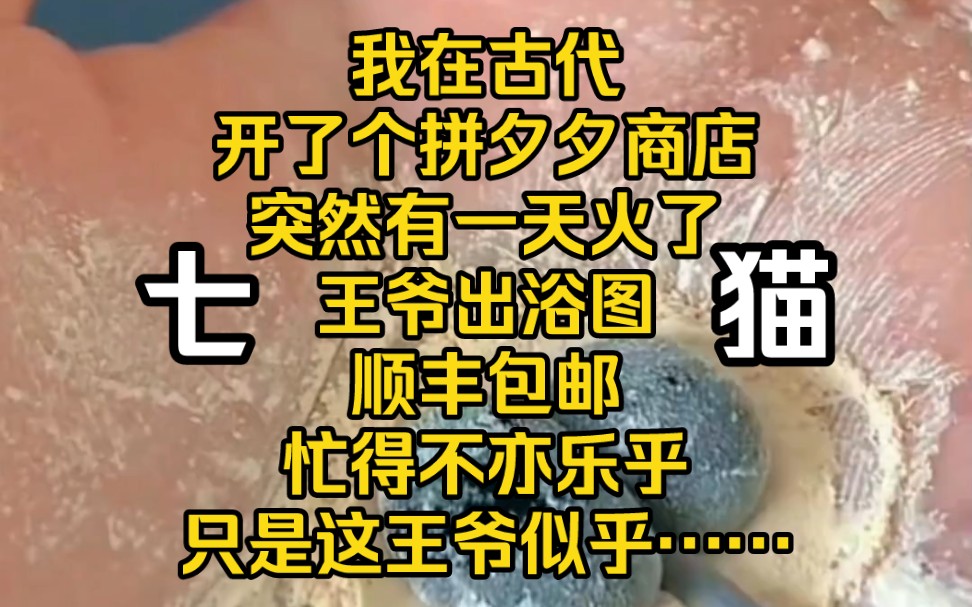 《寒冬拼团》我在古代开了个拼夕夕商店突然有一天火了王爷出浴图顺丰包邮忙得不亦乐乎只是这王爷似乎……哔哩哔哩bilibili