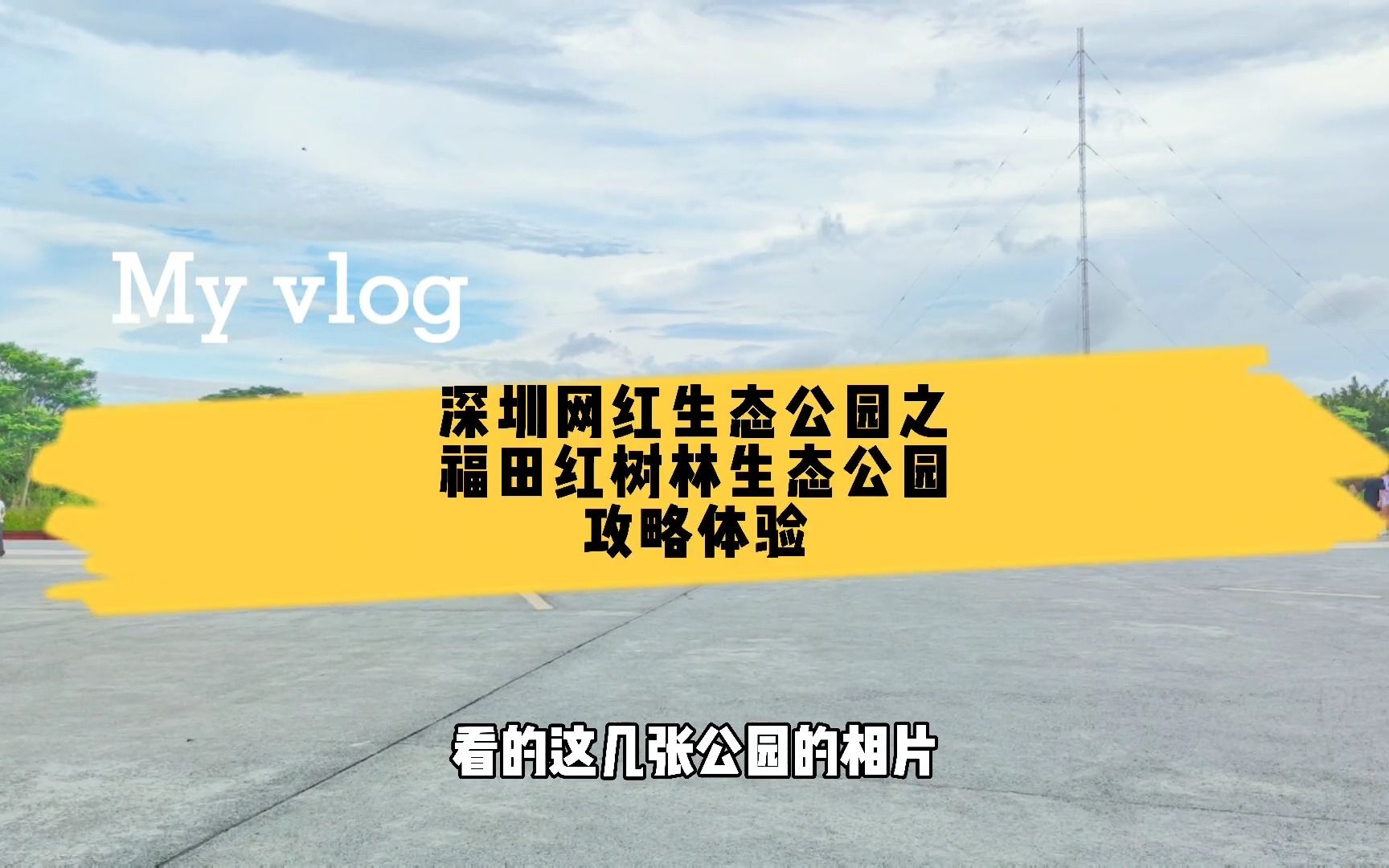 深圳福田红树林湿地公园,是周末溜娃观鸟最佳去处,你知道是怎么样的吗哔哩哔哩bilibili