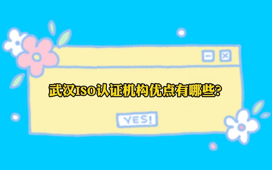 2023.11.17 武汉ISO认证机构有点有哪些?哔哩哔哩bilibili