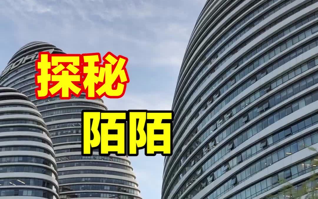 探秘社交软件“陌陌”,看看他们的员工开什么车!哔哩哔哩bilibili