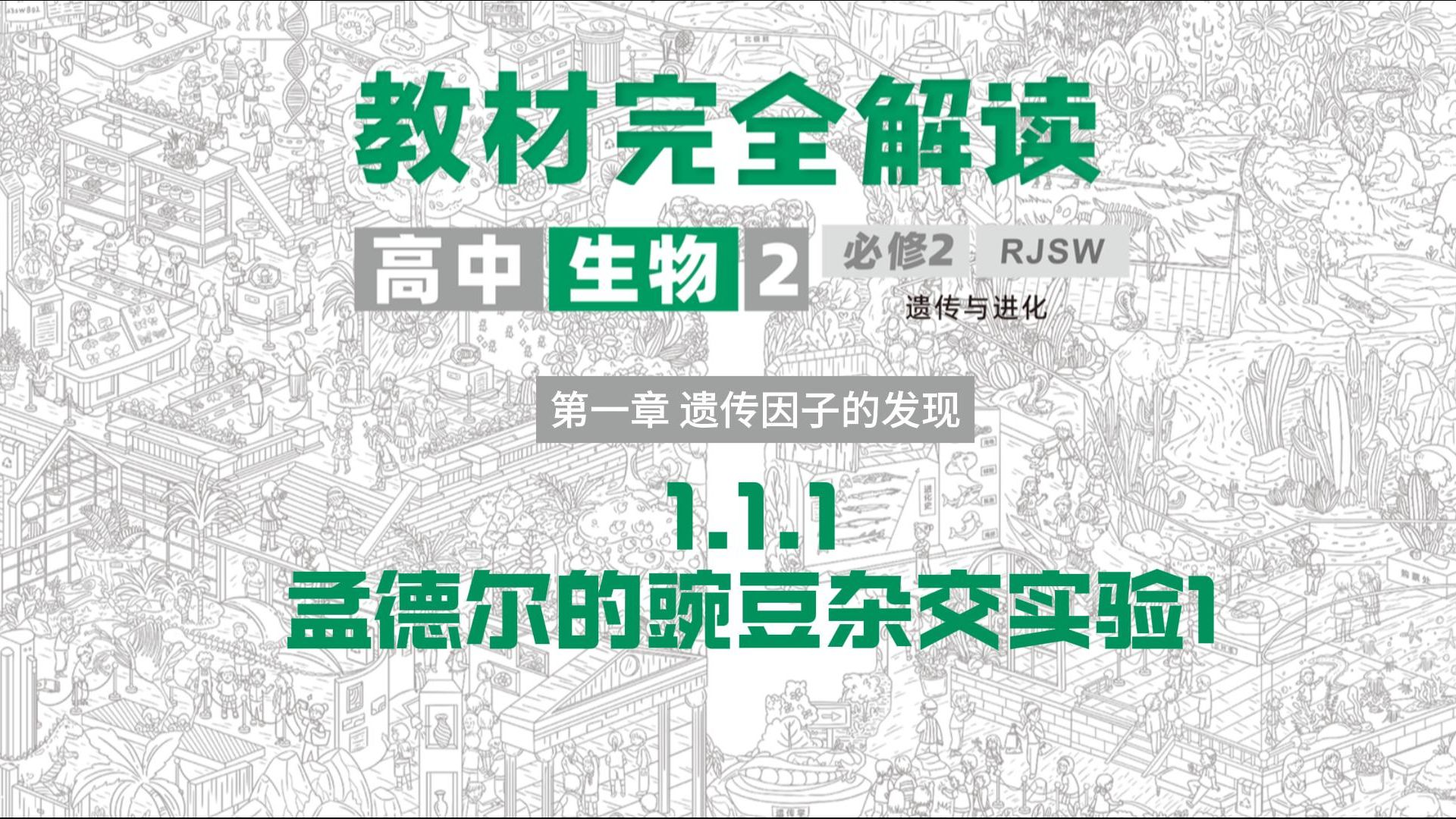 高中生物‖必修二精讲,1.1孟德尔豌豆杂交实验1,教材完全解读超详细讲解,建议收藏!哔哩哔哩bilibili