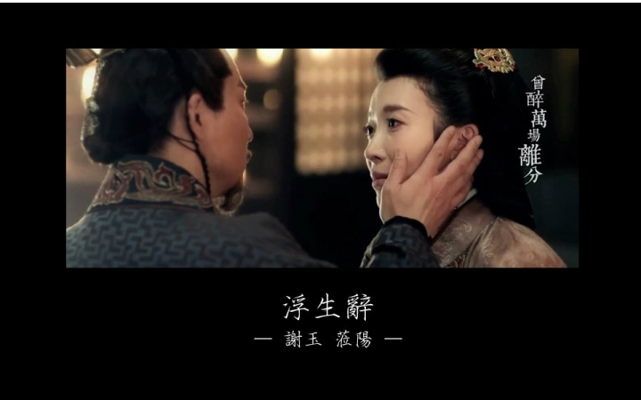 琅琊榜谢玉x莅阳浮生辞