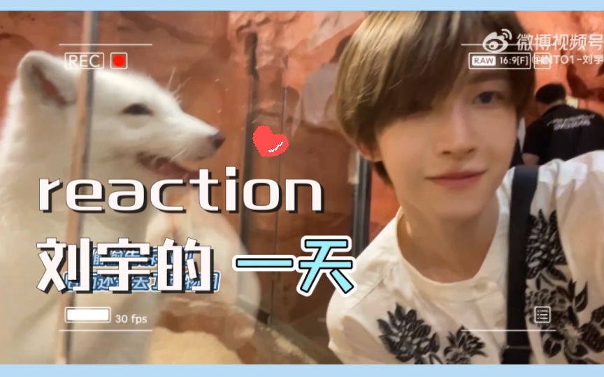 刘宇reaction|刘宇的一天 |长沙游哔哩哔哩bilibili