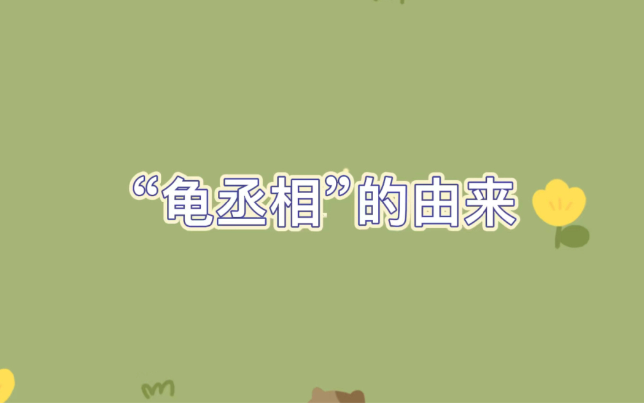 【多妹】“龟丞相”的由来哔哩哔哩bilibili