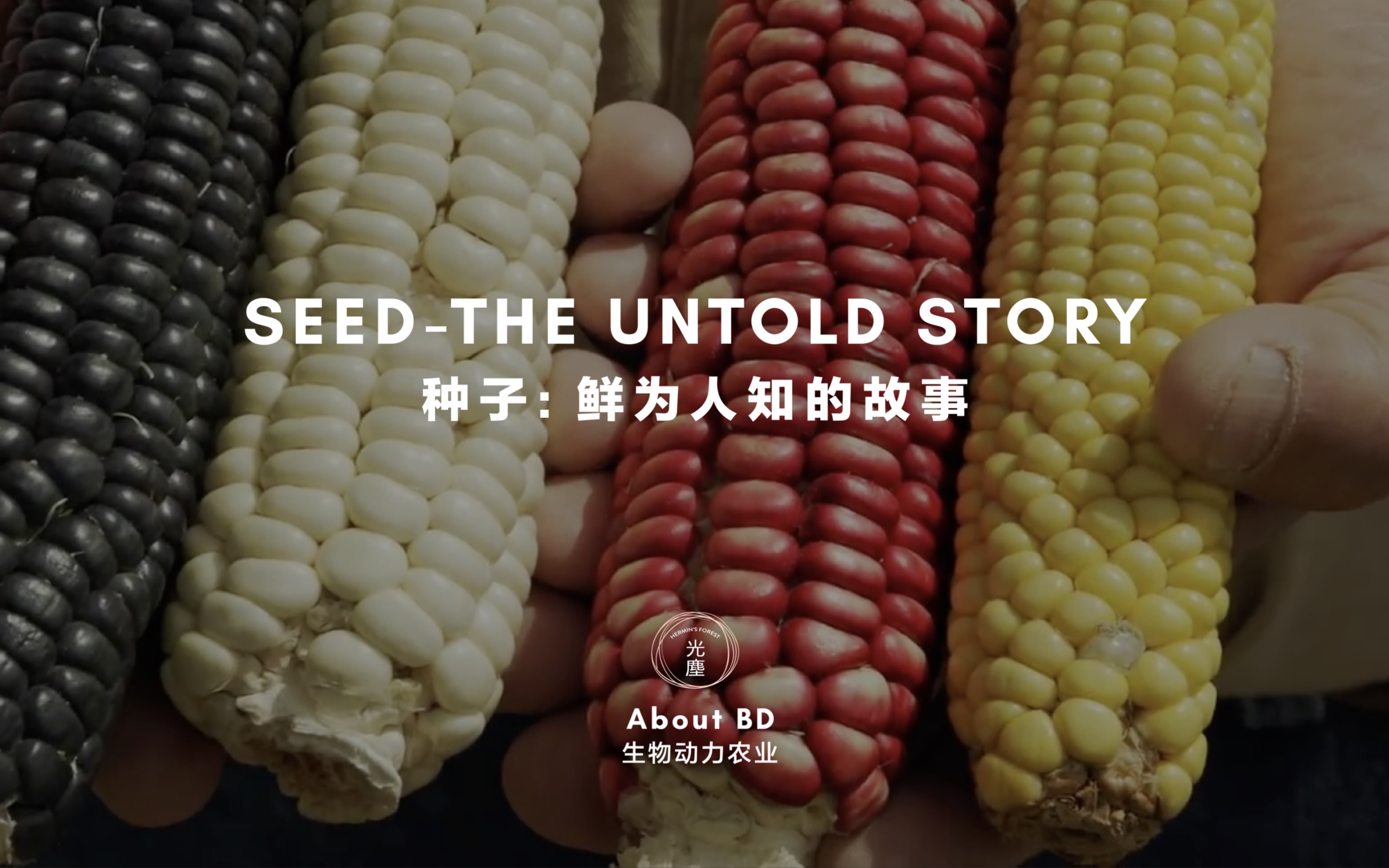 [图]/守护老种子/ 纪录片Seed:The Untold Story /种子 鲜为人知的故事 中字预告片