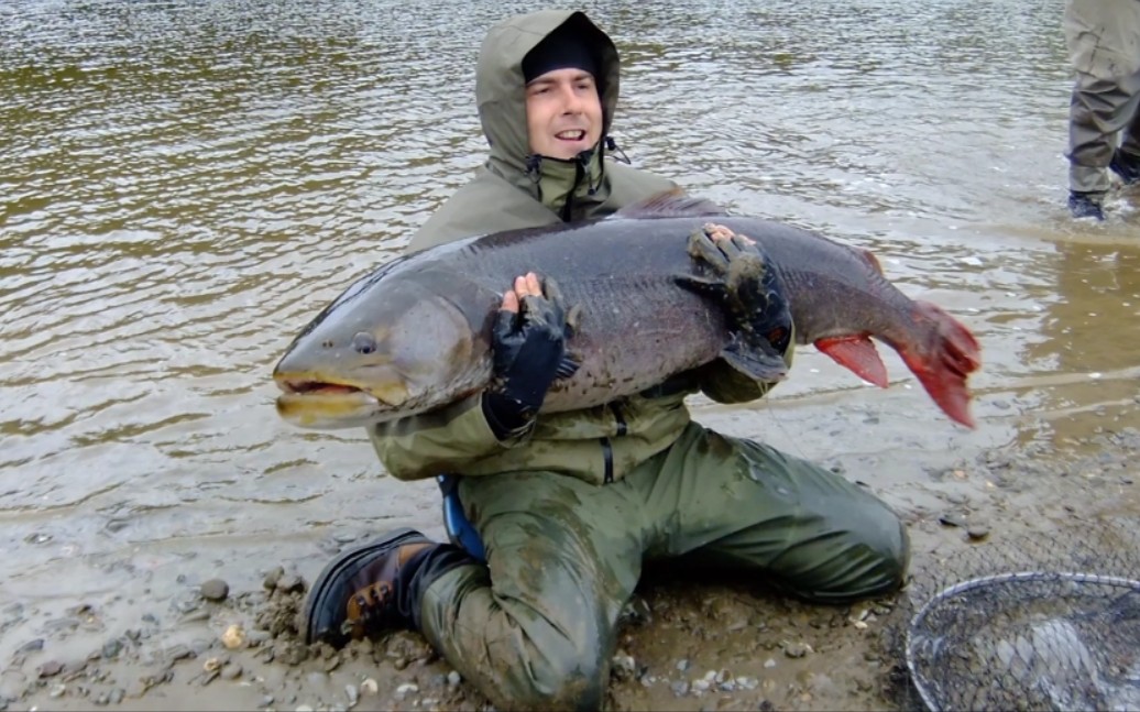 最大的哲罗鲑鱼图片图片