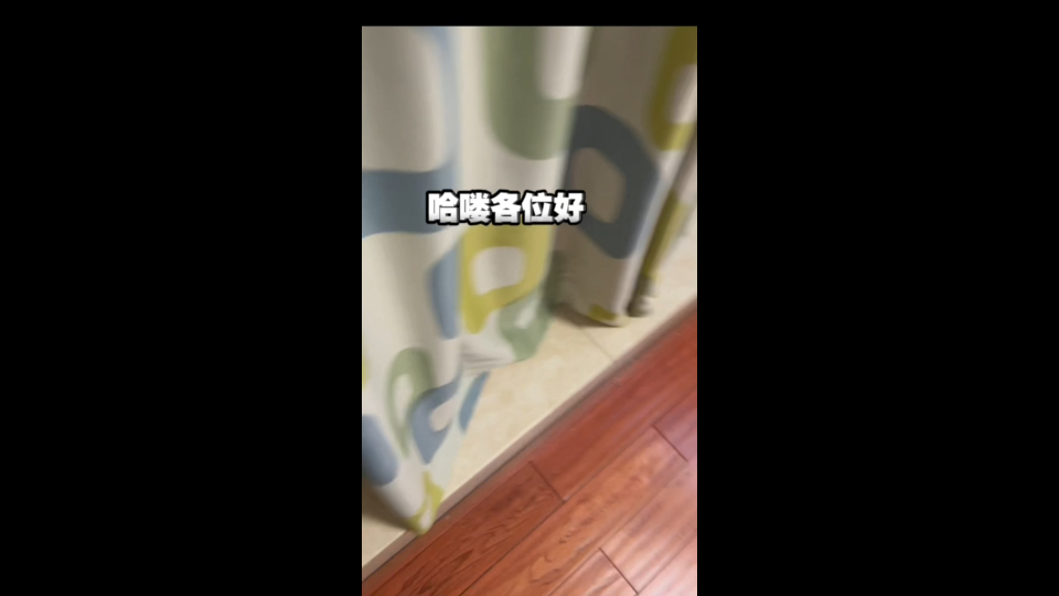 让他做一只快乐的小猫哔哩哔哩bilibili