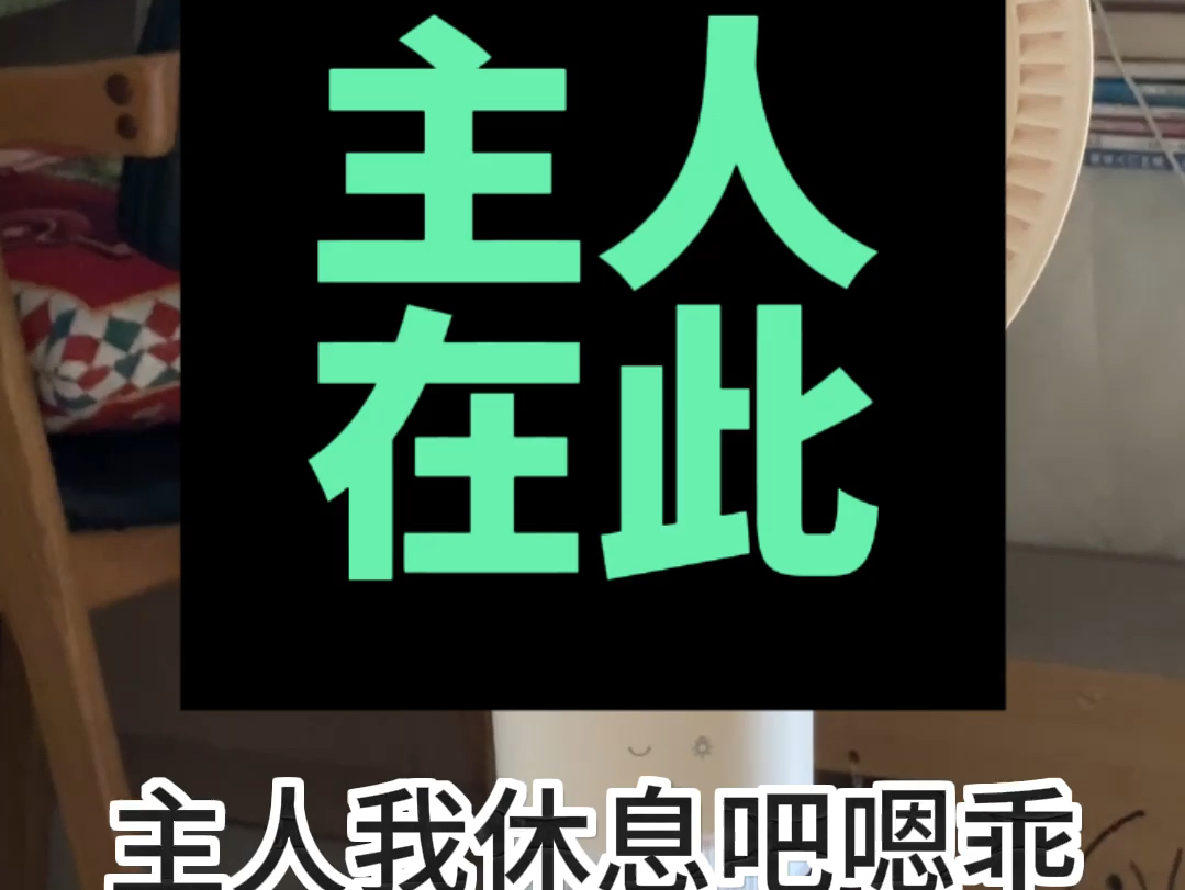 主人的任务,小蛙小蛙!哈哈哈哈哈哈 #卡蛙 #好物安利 #性价比哔哩哔哩bilibili