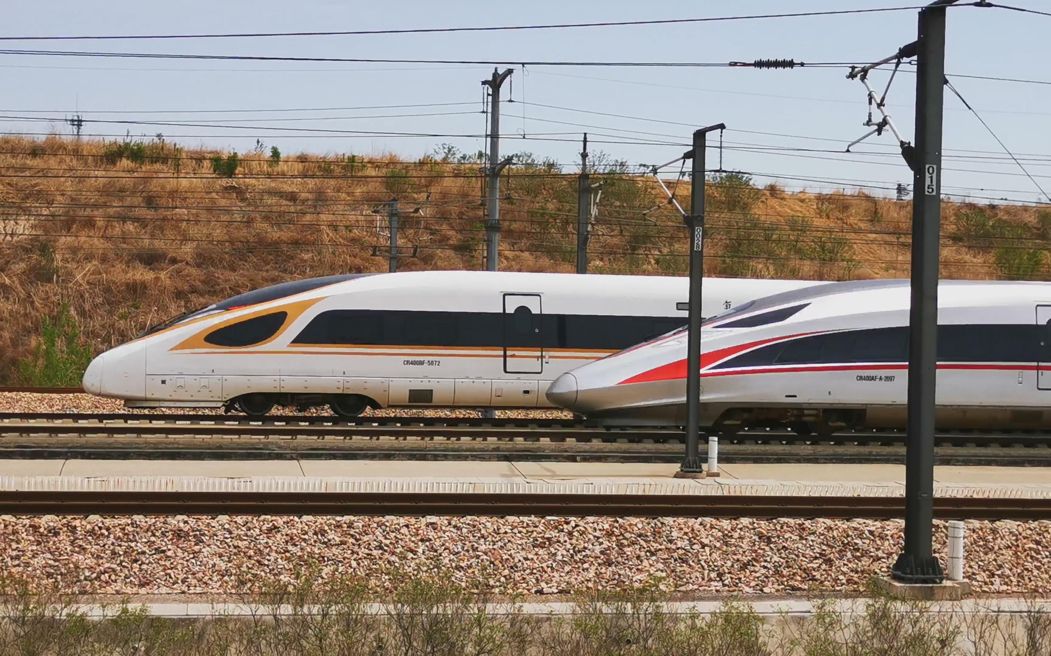 红神龙和金凤凰"比翼双飞"_哔哩哔哩_bilibili