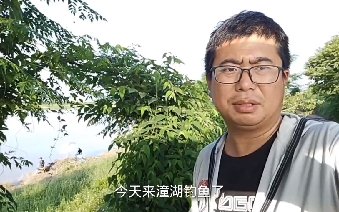 惠州潼湖是野钓天堂,资源丰富什么鱼都有,真的是休闲钓鱼好去处哔哩哔哩bilibili